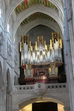 Organ