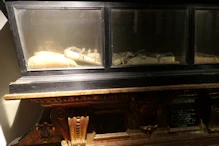 The crypt &ndash; St Ursula's remains
