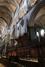 The organ