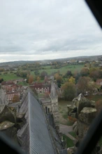 View out a window