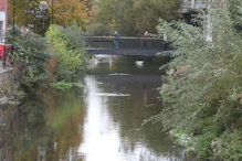 A mill pond