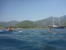 Swimming near boat