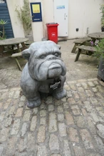 A large bulldog costing a mere 720 quid