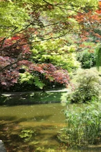 Fantastic garden of mature trees etc