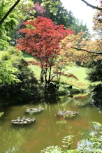 Fantastic garden of mature trees etc