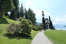 Fantastic garden of mature trees etc