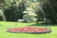 A varigated tree frames with a steel arch 