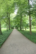 Garden path