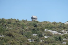 Carved stone tomb