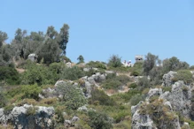 More carved stone tombs