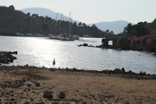 Boats moored in bay