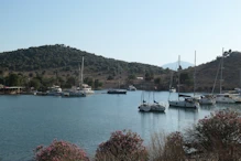 Boats moored in bay