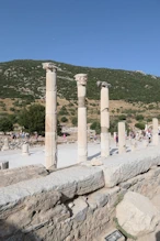 Columns at the edge of the political area