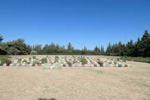 Lone Pine Cemetery