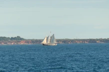 A sailing boat