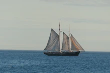 A sailing boat