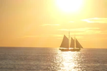 A golden moment!!! **