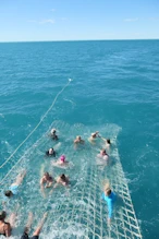 Some people being dragged behind boat