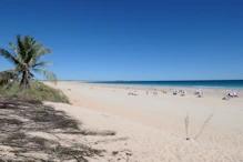 Cable Beach