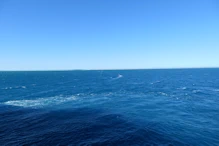A zodiac heading out to check conditions