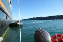 on the zodiac