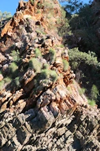 Rock strata and tufts of grass