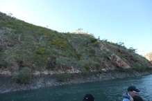 Fault line