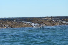 Water running from top of reef to channel