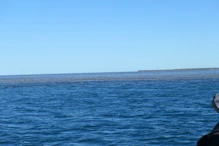 Fast disappearing reef (10m tides)