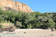 Beach with crocodile tracks