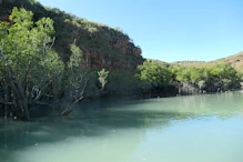 Back water, tide risen a lot