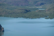 Estuary