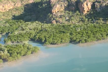 Hunter River estuary