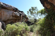 near site 2
