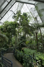 Botanic Gardens greenhouse