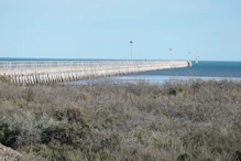 Longest wooden pier in SA