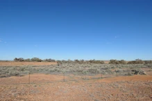 The dog fence