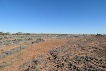 The dog fence