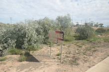 Birdsville sign noe population numbers