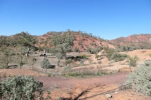 Near The Ediacaran Golden Spike