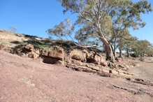 Near The Ediacaran Golden Spike