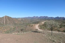 Razorback Lookout