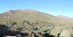 View from Wangarra Lookout