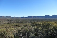 View from Wangarra Lookout