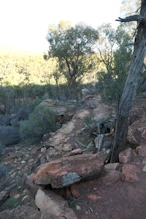 The track down from Wangarra Lookout