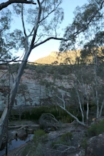 The Wilpena Creek in the shadows