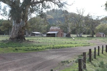 Old homestead