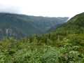 View from Mount Roberts above Juneau