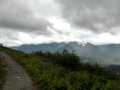 View from Mount Roberts above Juneau